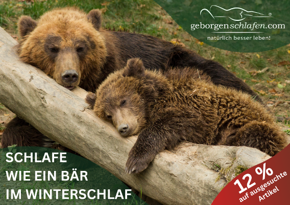 winterschlaf-baer